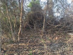 C1409098 Tuol Kamnap 2.jpg